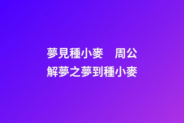 夢見種小麥　周公解夢之夢到種小麥